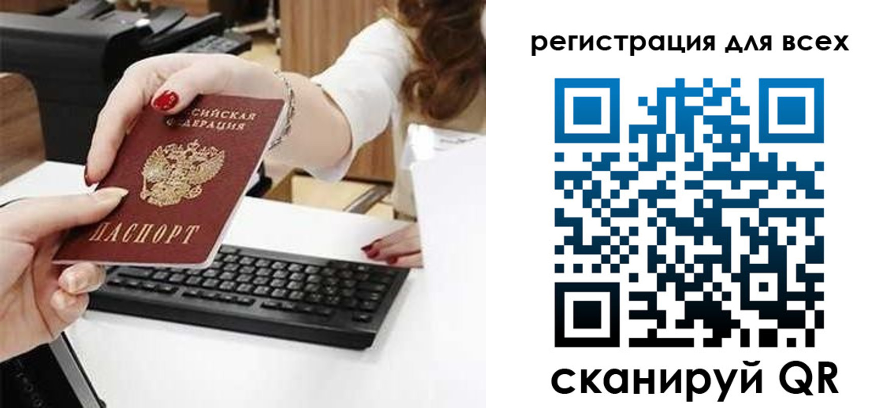 прописка в Курской области